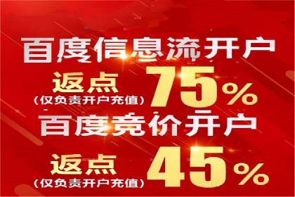 深度解析：百度推广费用与ROI的关联案例